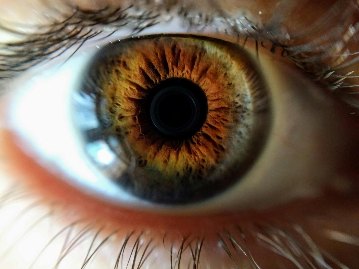 The Fourth Eye